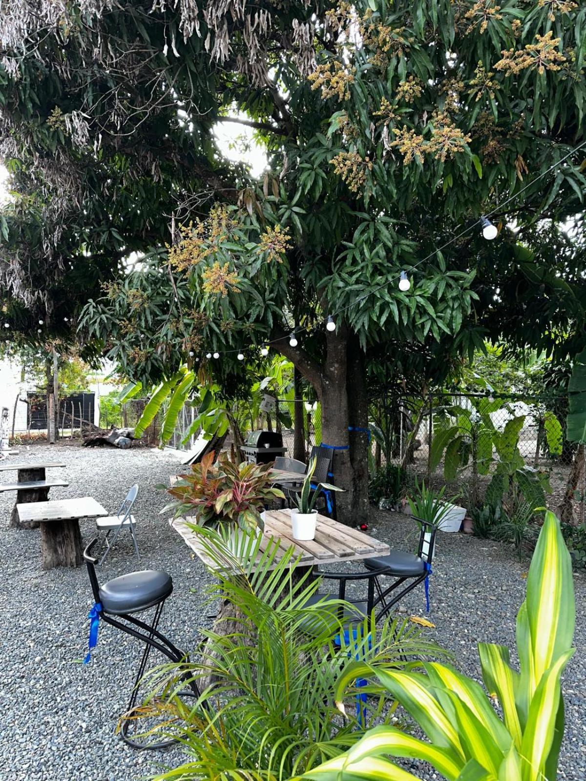 Hostal El Ejecutivo SJM 외부 사진
